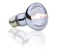 Ampoule halogène - EXO TERRA - BASKING SPOT - 50 W - Eclairage pour Caméléon - Aquarium