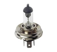 Ampoule Halogène H5 100/80W P45T 1 Pz D/blister Usage Hors Route 12V