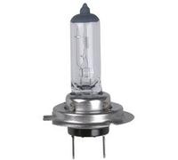 Ampoule halogène H7 pour phare, 12 V, 55 watts