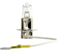 Ampoule halogène Philips Automotive 77459030 MasterDuty H3 70 W 1 pc(s)