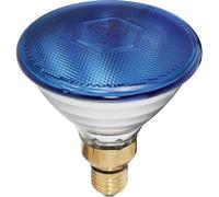 Ampoule halogène pour effet lumineux Eurolite Par-38 FL blau 230 V E27 80 W N/A à intensité variable