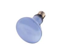 Ampoule Hobby Neodymium Daylight Eco Blanc TU