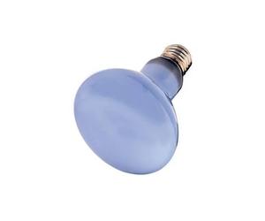 Ampoule Hobby Neodymium Daylight Eco Blanc TU
