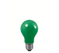 ampoule incandescente std 25W E27 vert