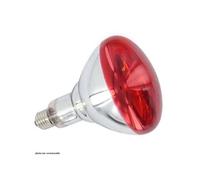 Ampoule Infrarouge 150W Il 21 Il 30