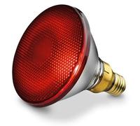 Beurer Ampoule infrarouge IL 21 / IL 30 150 W G