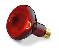 Ampoule Infrarouge 100W Il 11