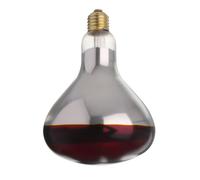 Ampoule infrarouge chauffante Rouge 230V/250W 125x(H)170 mm - Hendi HENDI