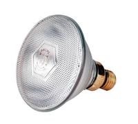 Ampoule infrarouge économique Philips 100 W ampoule blanche chauffante de PHILIPS