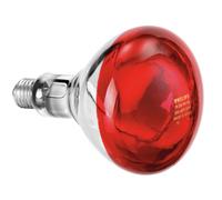 Ampoule Infrarouge IWL250D - Bartscher