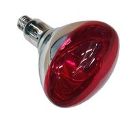 Ampoule infrarouge Philips 923212043801 250 W E27