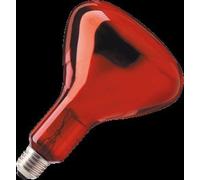 Ampoule infrarouge Philips avec réflecteur - 57521025