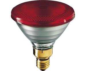 Ampoule infrarouge Philips avec réflecteur - 60053015