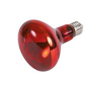 Ampoule infrarouge Trixie