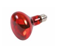 Ampoule infrarouge Trixie