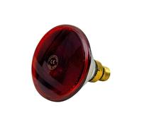 Ampoule infrarouge Ukal PAR Rouge 175 W