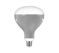 Ampoule LED 13 W E27 220-240 V 2700 K R125