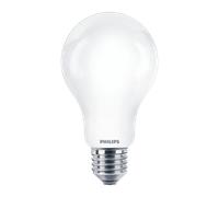 Ampoule LED - 13W - E27 - A67 - 4000K PHILIPS