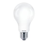 Ampoule LED - 17,5W - E27 - A67 - 4000K PHILIPS