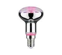 AMPOULE LED 6,5W PETITE DOUILLE E14 POUR PLANTES VERTES 287.34