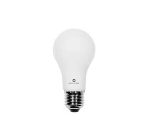 AMPOULE LED 6W E27 220V 360º LED 3.000K 550 LM BENEITO FAURE