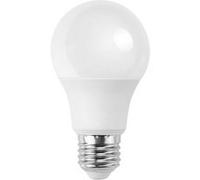 Ampoule LED Aigostar E27 A60 17W 3000K