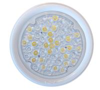 Ampoule LED Blanche 16,6 W 48 LEDS PAR56