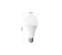 Ampoule LED Classic A80 E27 20W (150W) 2452lm neutre ZQ5E83