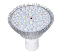 Ampoule LED de croissance pour plantes - QIILU - E27 - Spectre complet - Faible consommation d'énergie