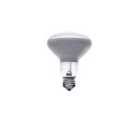 Ampoule LED E27 13 W 1180 Lm 220-240 V 2700 K R125 G.PLUX