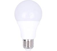 Ampoule LED E27 20W 2700K Blanc Chaud Haute Luminosité