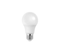 Ampoule LED E27 A60 17W 3000K