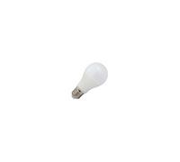 Ampoule LED E27 Bulb opale blanc jour 12W (110W) 4000°K