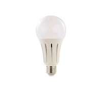 Ampoule LED E27 High Power 24 W / 2452 lm - blanc chaud