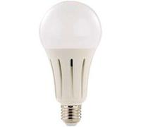 Luminea Ampoule LED E27 High Power 23 W - 2452 lm - Blanc lumière du jour