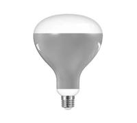 Ampoule LED Flos 13 W E27 220-240 V 2700 K R125