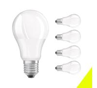 Ampoule LED Globe, Gros Culot A Vis E27, 5W Equivalent Incandescence 45W, 450 Lumen, Blanc Froid 6000K, Mat Économie D'énergie Angle de Faisceau 180 °Plastique Non Dimmable 230V 220V (5 pièces)