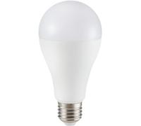Ampoule LED GLS Givrée 15W, E27, Blanc Chaud - V-TAC