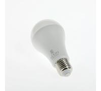 JBL Reptil LED Daylight, Lampe LED avec Lumière du jour à large Spectre pour Terrariums et Plantes, 13 W, sans UV, Douille E27, Température de couleur 5000 K