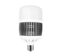 Ampoule LED Ledstar 100W 6500K - Croissance - E40 - Advanced Star