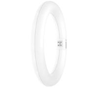 Ampoule LED - OSRAM - G10Q - 11W - Blanc froid - 30000 heures de vie