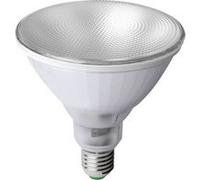 Ampoule LED pour plantes E27 Megaman MM154-2 12 W (Ø x L) 121 mm x 133 mm G