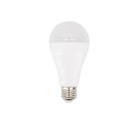 Ampoule LED Samsung E27-20W - 2400lm - Blanc Naturel 4000K - A65 - Angle 200°