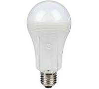 Ampoule LED Sengled Everbright avec batterie de secours G