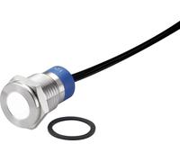 Ampoule LED TRU COMPONENTS TC-7495220 blanc 12 V DC/AC 1 pc(s)