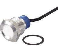 Ampoule LED TRU COMPONENTS TC-7495268 blanc 12 V DC/AC 1 pc(s)