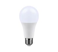 Ampoule LED V-TAC GLS - CREE - Douille E27 - IP20 - Blanche - 15 W - 1521 lumens - 6500 K