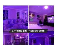 Ampoule lumiere noire lamp75bl 220v 75w e27 effet