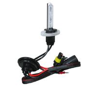 Ampoule Moto Hid PILOT Xénon 5.000K H1 12/24V Faisceau Lumière Ultra-Bianco