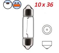 cyclingcolors AMPOULE NAVETTE 6V 10W SV8.5 10 x 36 MM MOTO MOBYLETTE SCOOTER VOITURE